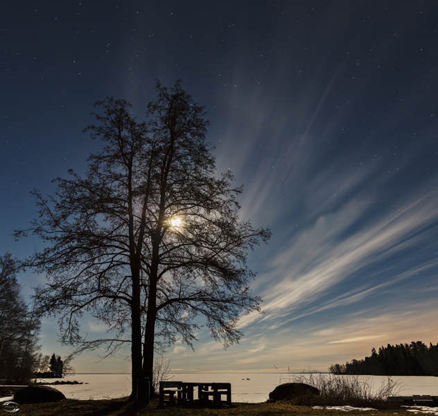 Ein kahler Baum am Ufer eines gefrorenen Sees bei Nacht mit dem Mond im Hintergrund
