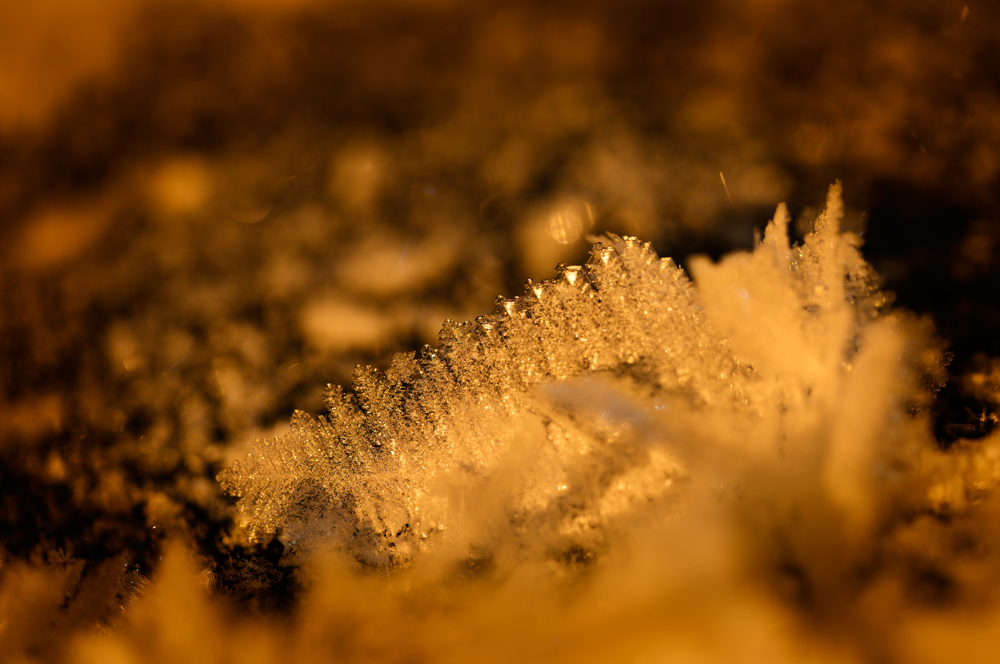 Eisblumen auf dem Eurajoki