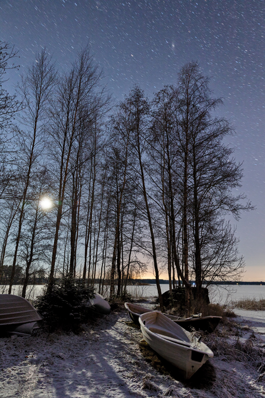 Blick durch kahle Bäume über eine Eisfläche bei Nacht