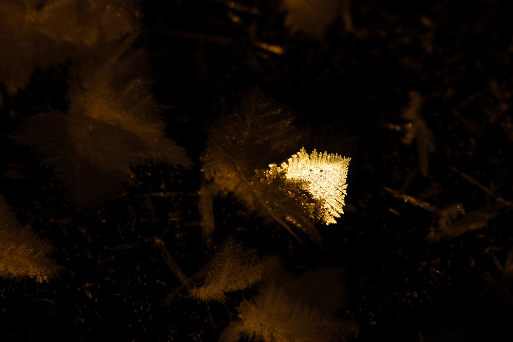 Eisblumen auf dem Eurajoki