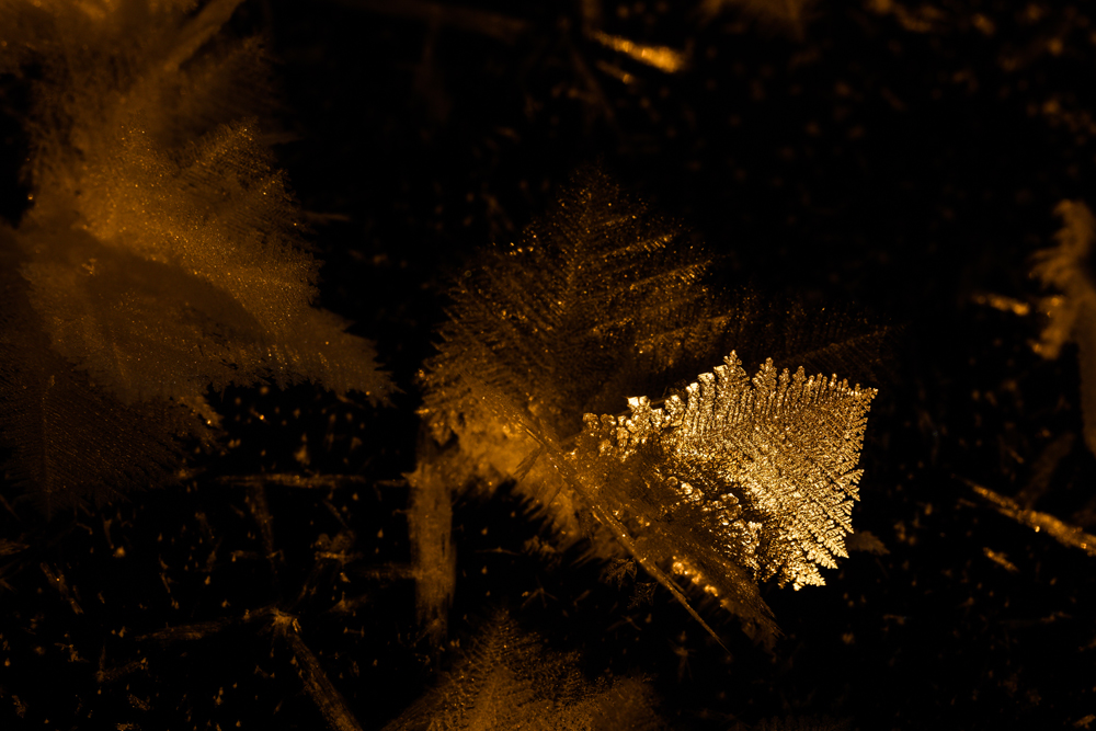 Eisblumen auf dem Eurajoki