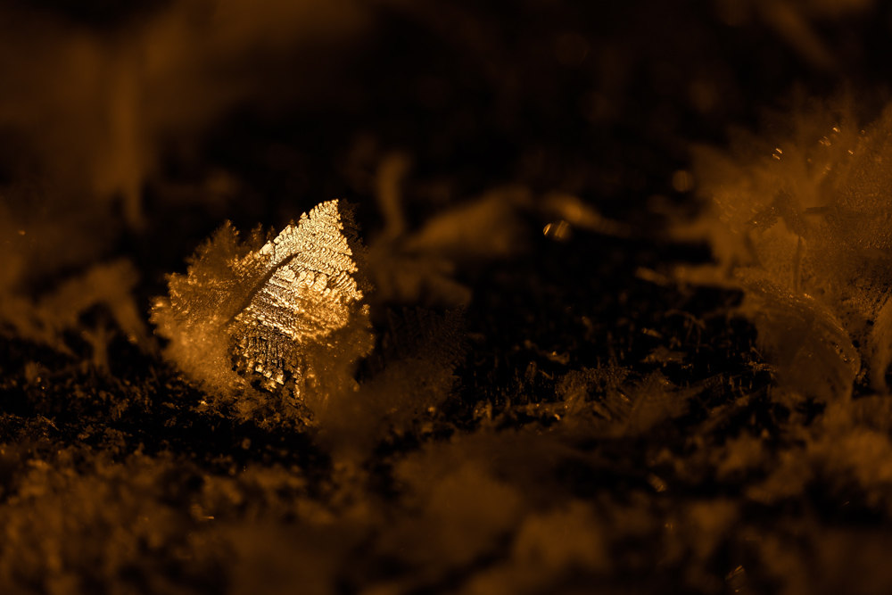 Eisblumen auf dem Eurajoki