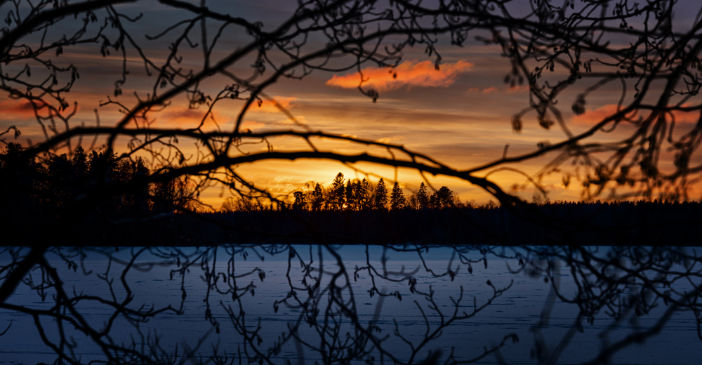 Blick über eine Eisfläche durch Äste hindurch bei Sonnenuntergang