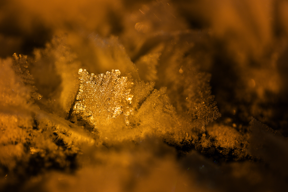 Eisblumen auf dem Eurajoki