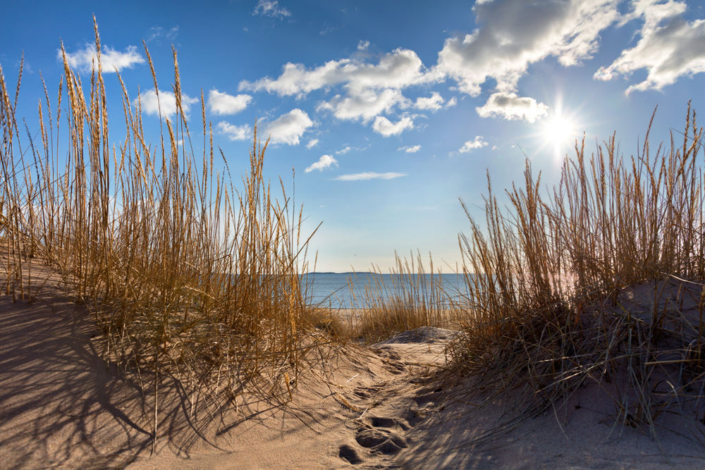 Blick aufs Meer vom Strand durch Dünengras