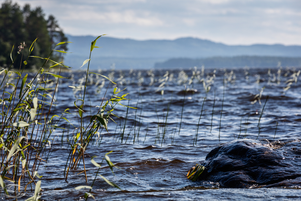 Blick über eine Wasserfläche entlang eines Waldes Richtung mehrerer Hügle