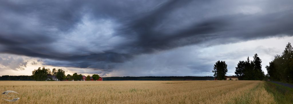 Gewitterwolken über einem Feld und einem Hof