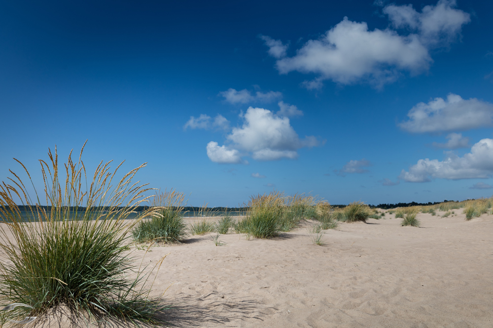 Blick entlang eines Strandes