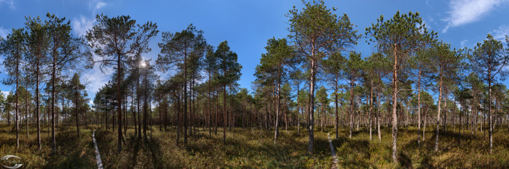 Nationalpark Isosuo und Purijärvi