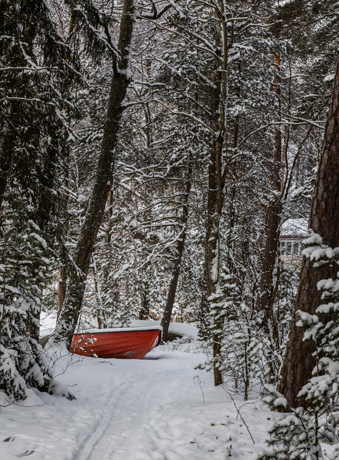 Blick auf ein Boot in einem verschneiten Wald