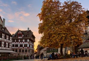 Bild des Baumes auf dem Tiergärtnertorplatz bei Sonnenuntergang