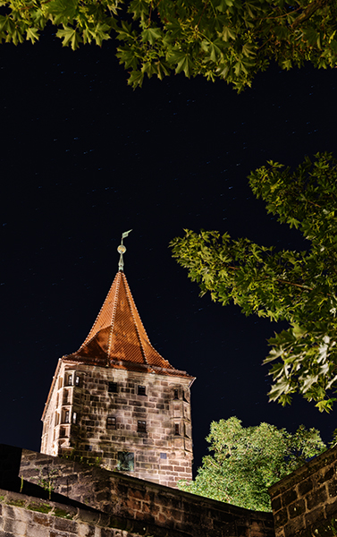 Blick auf einen Turm umrahmt von Ästen bei Nacht