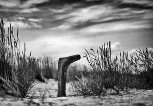 Ein Holzpfosten im Sand zwischen Dünengras