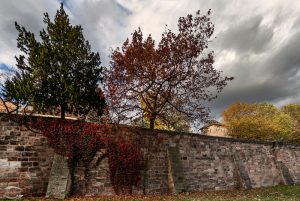 Herbstliche Bäume über der Stadtmauer