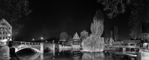 Schwarz-Weiß-Bild vom Weinstadl und zweier Bäume an einem Fluss bei Nacht im Winter